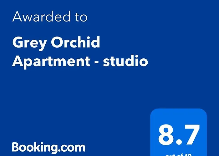 Appartement Grey Orchid - Studio