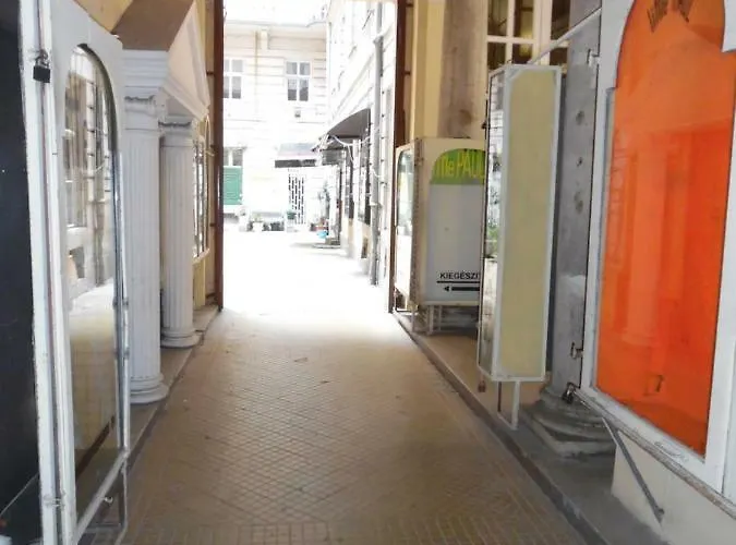 Grey Orchid - Studio *