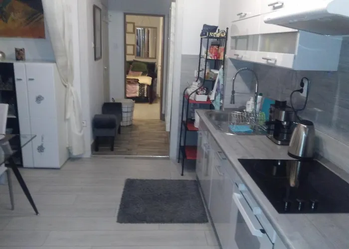 Apartament Grey Orchid - Studio