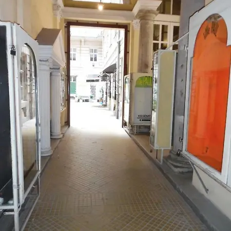 Grey Orchid - Studio *